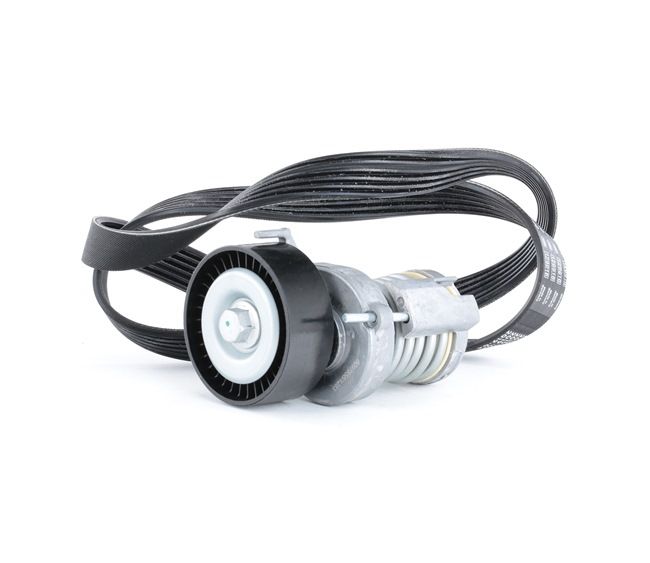 Achetez des Jeu de courroies trapézoïdales à nervures RIDEX 542R0093 à prix pour 47,67 €