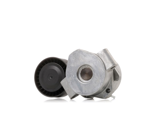 Acquista online RIDEX Rullo tenditore cinghia Poly-V Art.: 310T0289