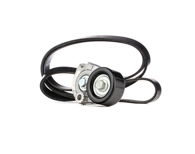 Achetez des Jeu de courroies trapézoïdales à nervures RIDEX 542R0100 à prix pour 63,51 €