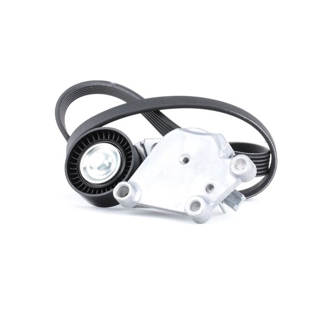 Achetez des Jeu de courroies trapézoïdales à nervures RIDEX 542R0114 à prix pour 45,17 €