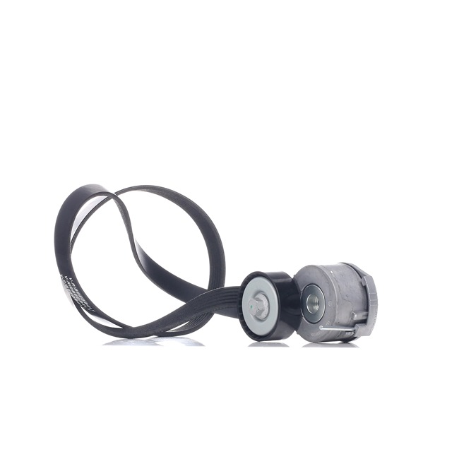 Acquista Kit Cinghie Poly-V da RIDEX 542R0125 a buon mercato per soli 44,90 €