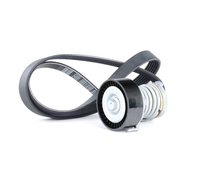 Compre Kit de correa de alternador de RIDEX online para Fabia I Combi (6Y5) a precios moderados
