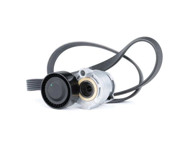 Keilrippenriemensatz von RIDEX für MEGANE II (BM0/1_, CM0/1_) günstig online kaufen