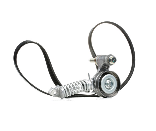 Comprar Juego de correas trapeciales poli V de RIDEX 542R0173 a bajo precio de 28,40 €