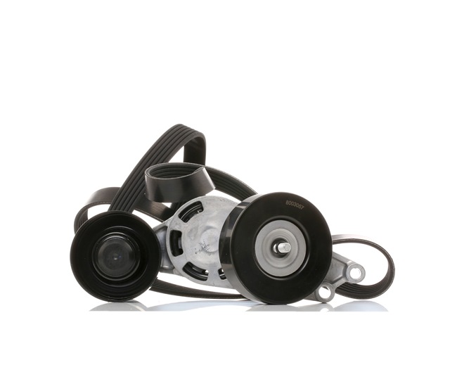 Keilrippenriemensatz SKRBS-1200182 SEAT EXEO von STARK