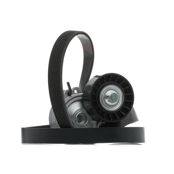 Achetez des Kit de courroie d'accessoire de chez RIDEX en ligne pour C4 I Van / 3/5 portes (LR_) à prix modérés