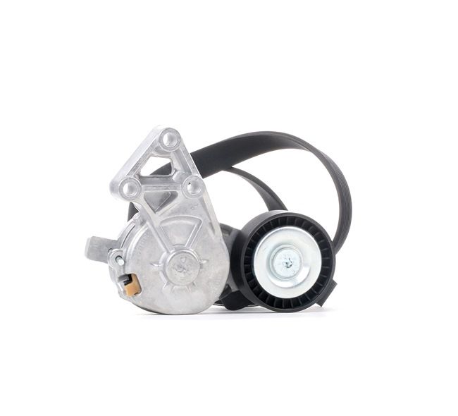 Compre Kit de correa de alternador de RIDEX online para Octavia I Combi (1U5) a precios moderados