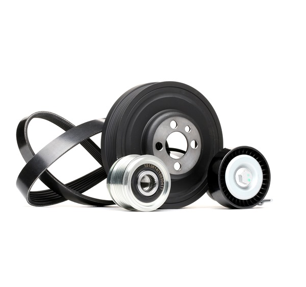 Achetez des Kit de courroie d'accessoire de chez RIDEX en ligne pour Fabia II Praktik (545) à prix modérés