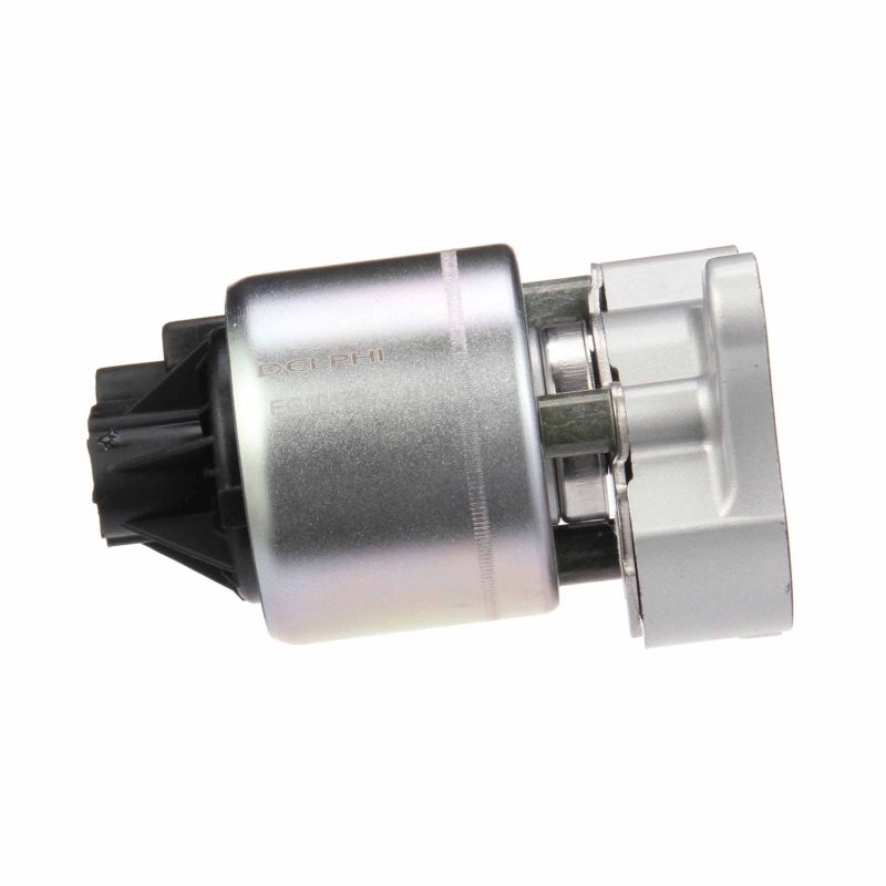 Acquista Valvola EGR da DELPHI EG10175-11B1 a buon mercato per soli 221,14 €