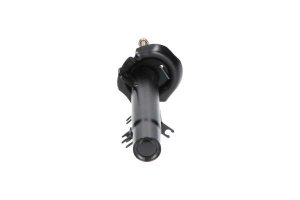 Original KAVO PARTS Stoßdämpfer online kaufen