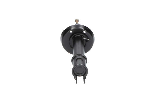 Stoßdämpfer von KAVO PARTS