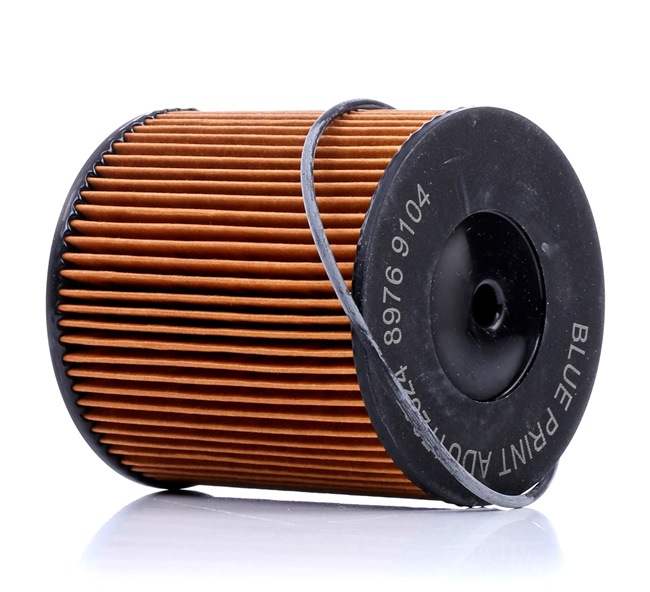 Kraftstofffilter ADU172324 von BLUE PRINT günstig für 17,53 € online kaufen