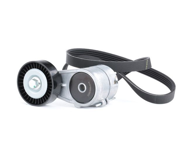 Acquista Kit Cinghie Poly-V da RIDEX 542R0212 a buon mercato per soli 40,20 €