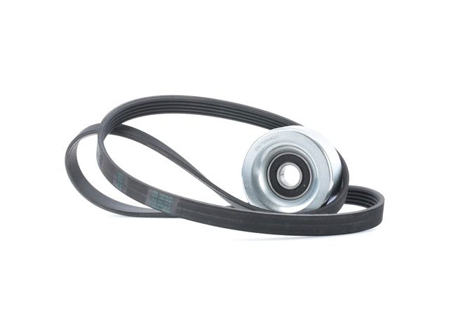 Achetez des Jeu de courroies trapézoïdales à nervures RIDEX 542R0215 à prix pour 27,48 €