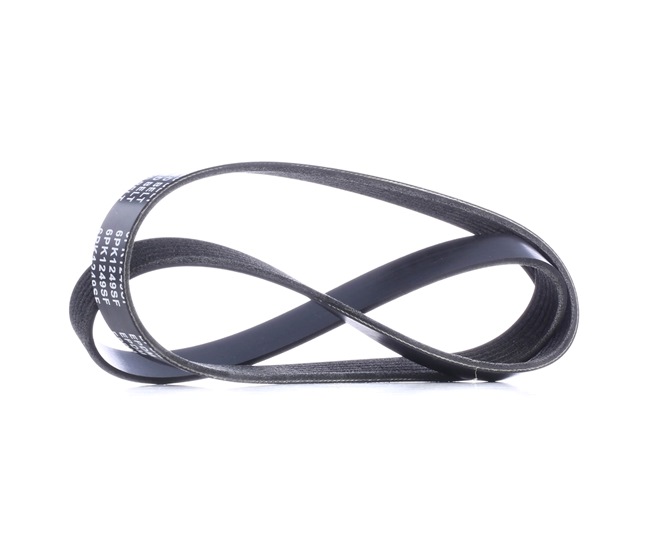Keilrippenriemen 305P0409 von RIDEX günstig für 16,98 € online kaufen