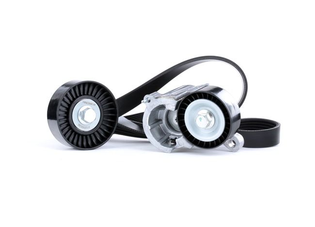 Achetez des Kit de courroie d'accessoire de chez RIDEX en ligne pour Scudo I Break (220) à prix modérés