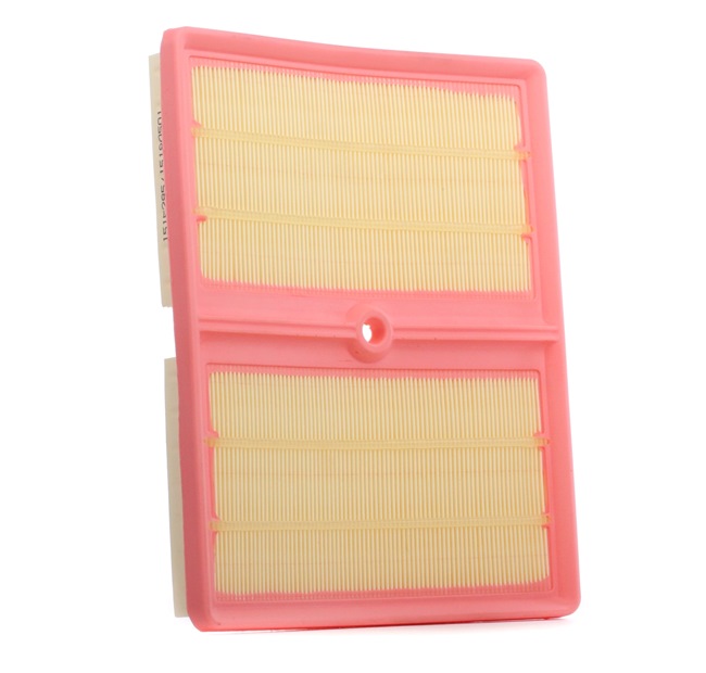 Compre Filtro de ar da RIDEX 8A0794 a um preço baixo por 9,84 €