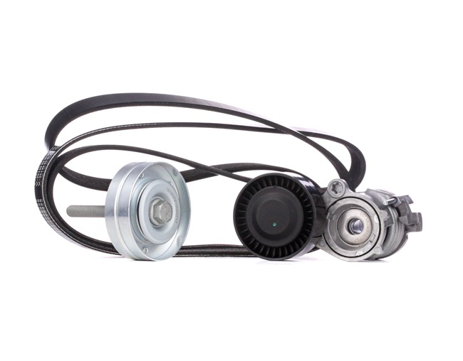 Achetez des Jeu de courroies trapézoïdales à nervures RIDEX 542R0225 à prix pour 79,61 €