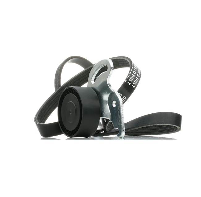 Keilrippenriemensatz 542R0231 RENAULT LOGAN von RIDEX