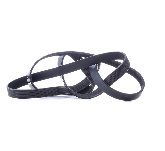 Achetez des Courroie Poly-V RIDEX 305P0410 à prix pour 16,20 €