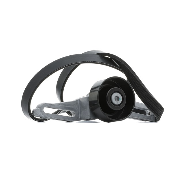 Achetez des Kit de courroie d'accessoire de chez RIDEX en ligne pour Saxo 3/5 portes (S0, S1) à prix modérés