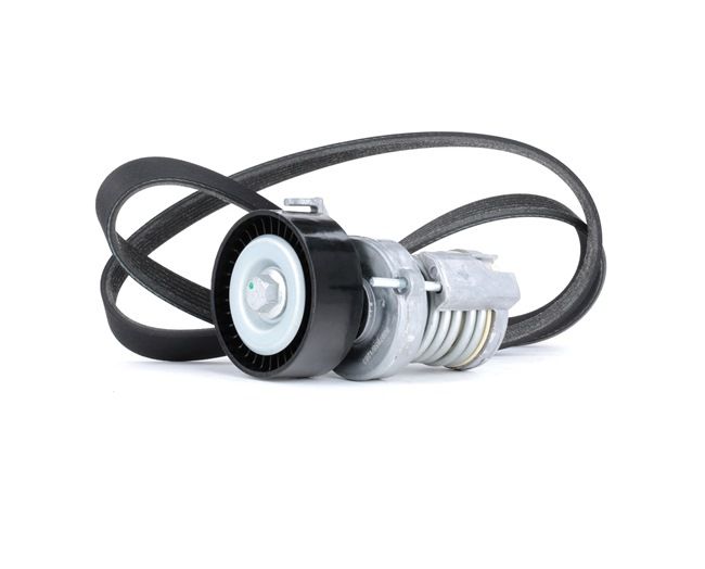 Comprar Juego de correas trapeciales poli V de RIDEX 542R0248 a bajo precio de 44,65 €