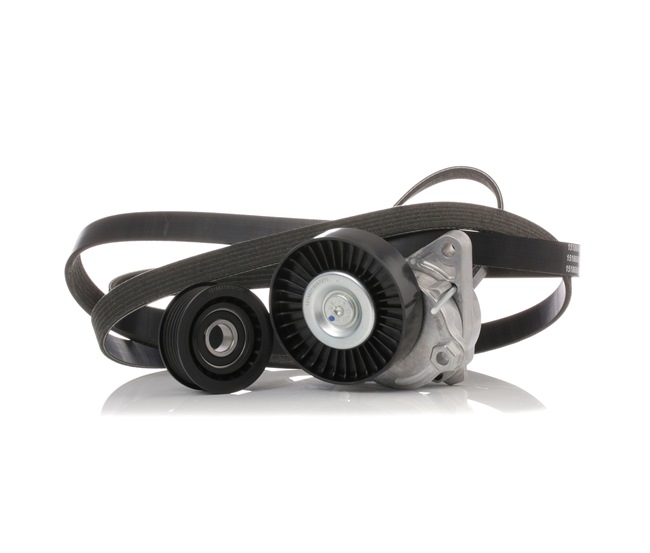 Achetez des Jeu de courroies trapézoïdales à nervures RIDEX 542R0252 à prix pour 66,86 €