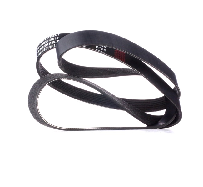 Acquista online RIDEX Cinghia servizi Art.: 305P0416