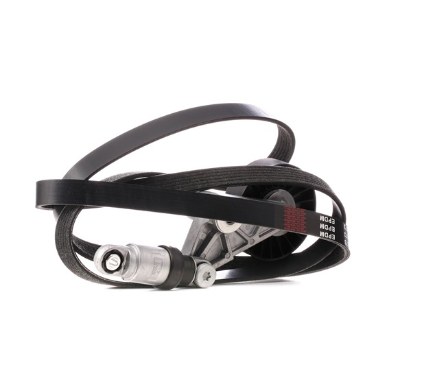 Keilrippenriemensatz SKRBS-1200286