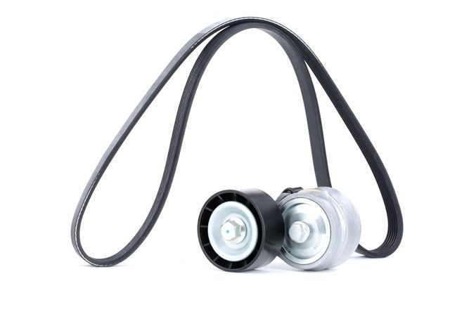 Achetez des Jeu de courroies trapézoïdales à nervures RIDEX 542R0295 à prix pour 37,43 €