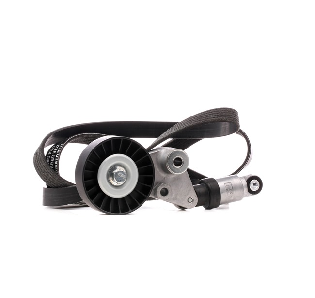 Keilrippenriemensatz SKRBS-1200304