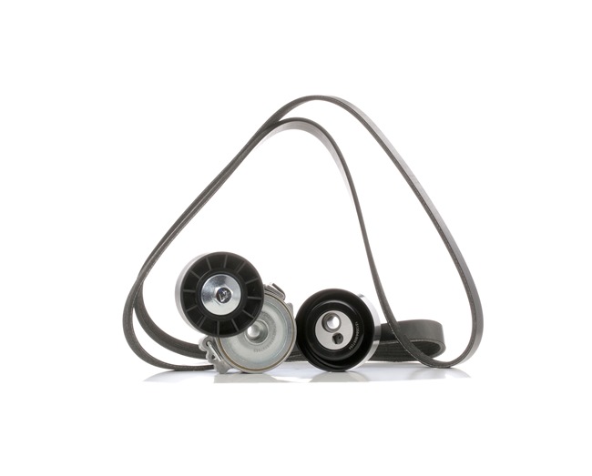 Achetez des Jeu de courroies trapézoïdales à nervures RIDEX 542R0310 à prix pour 68,30 €