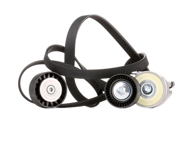 Achetez des Kit de courroie d'accessoire de chez RIDEX en ligne pour Ducato III Van (250, 290) à prix modérés