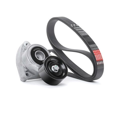 Compre RIDEX Jogo de correias trapezoidais estriadas Art.: 542R0324 online