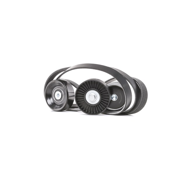 Compre Kit de correa de alternador de RIDEX online para VOYAGER IV (RG, RS) a precios moderados