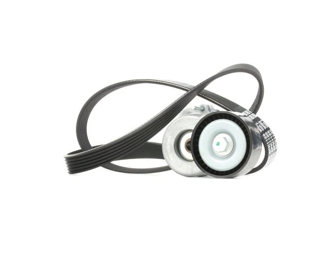 Achetez des Jeu de courroies trapézoïdales à nervures RIDEX 542R0342 à prix pour 41,20 €
