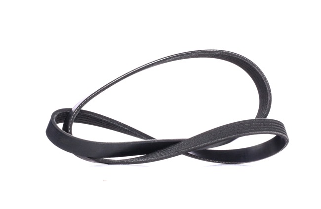 Achetez des Courroie Poly-V RIDEX 305P0423 à prix pour 9,67 €