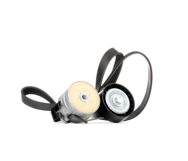 Achetez des Jeu de courroies trapézoïdales à nervures RIDEX 542R0343 à prix pour 45,59 €
