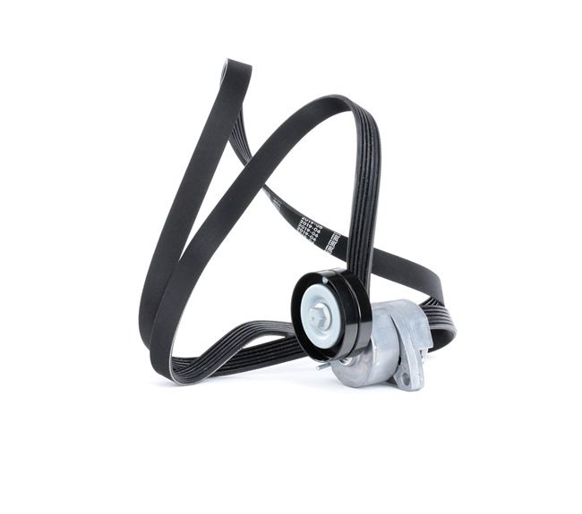 Comprar Juego de correas trapeciales poli V de RIDEX 542R0376 a bajo precio de 50,65 €