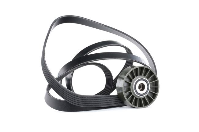Comprar Juego de correas trapeciales poli V de RIDEX 542R0379 a bajo precio de 26,52 €