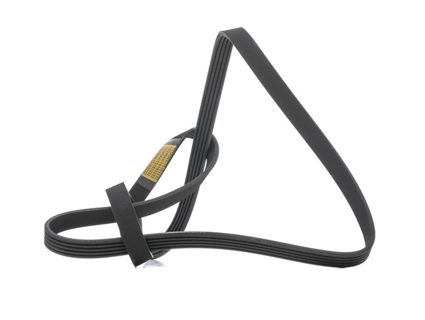 Achetez des Courroie Poly-V RIDEX 305P0427 à prix pour 13,13 €