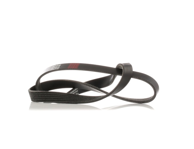 Acquista Cinghia servizi da RIDEX 305P0428 a buon mercato per soli 9,20 €