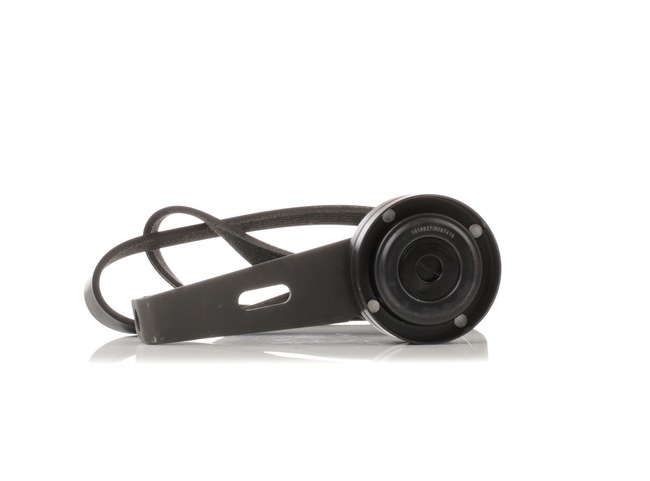 Achetez des Jeu de courroies trapézoïdales à nervures RIDEX 542R0381 à prix pour 44,95 €