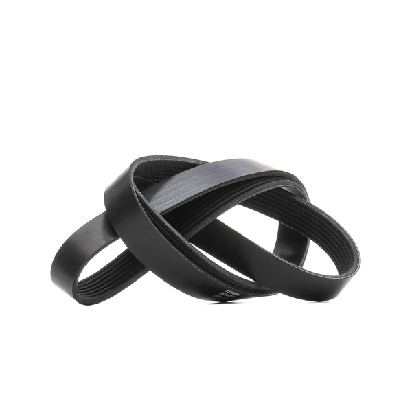 Online Shop für Keilrippenriemen von RIDEX EAN: 4059191904532