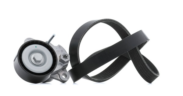 Achetez des Jeu de courroies trapézoïdales à nervures RIDEX 542R0463 à prix pour 48,35 €