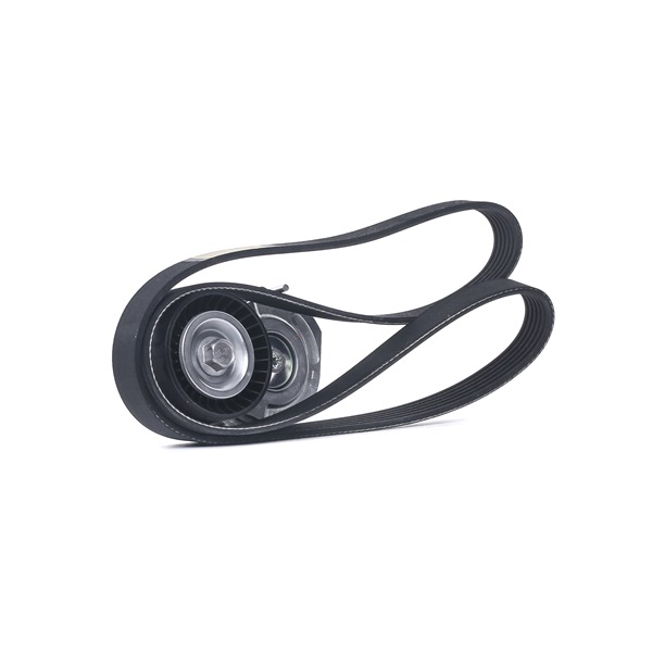 Acquista Kit Cinghie Poly-V da RIDEX 542R0467 a buon mercato per soli 61,46 €