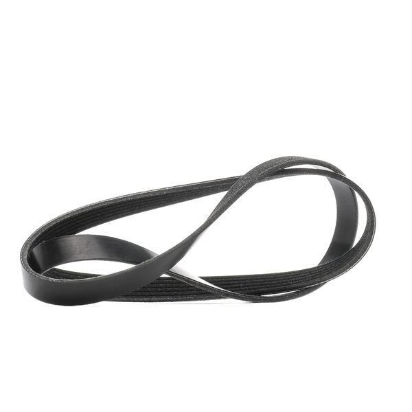 Keilrippenriemen 305P0449 von RIDEX günstig für 16,55 € online kaufen