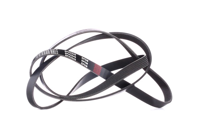Keilrippenriemen 305P0452 LEXUS LX von RIDEX