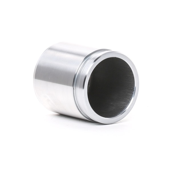 Comprar Émbolo, pinza del freno de RIDEX 2248P0030 a bajo precio de 8,22 €