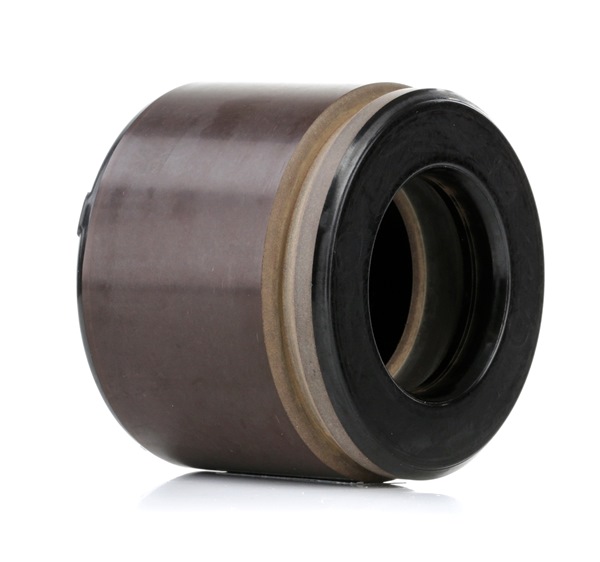 Comprar Émbolo, pinza del freno de RIDEX 2248P0032 a bajo precio de 15,44 €